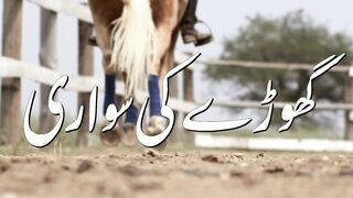 Horse Riding. 2
