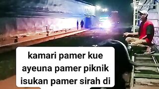 ayam broiler || kata kata lucu 199