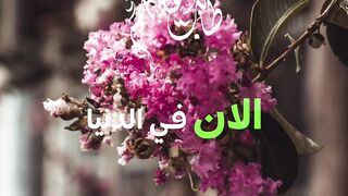 الله اكبر❤️