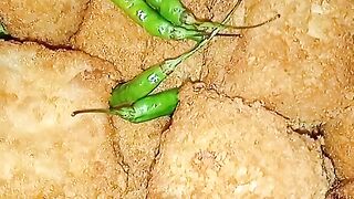 Tahu krispi