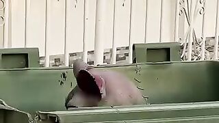New Full Funny Video 2024 | New Funny Video 2024 | Funny Video 2024