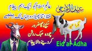 Eid Ul Adha Status | Bakra Eid Mubarak Status 2024 | عید مبارک