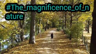 #The_magnificence_of_nature