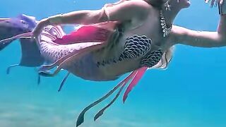 I_always_dream_of_being_a_mermaid