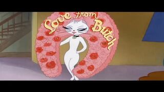 Tom et Jerry vidéos funny