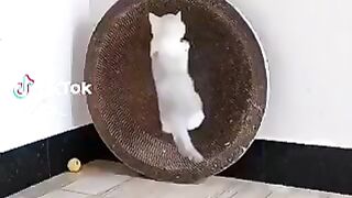 Vidéo drôle 53