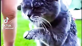 Vidéo drôle 62