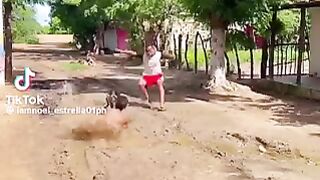 Vidéo drôle 63