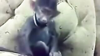 مواقف، طرائف، عجائب، الكاميرا الخفية، اضحك حتي ????????????