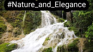 #Nature_and_Elegance