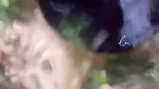 Sop Kepala dan Ceker Ayam