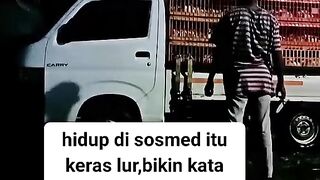 ayam broiler || kata kata lucu 206