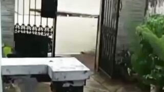 The rain 5