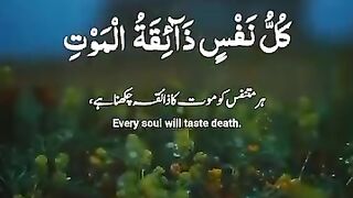 Quran 304