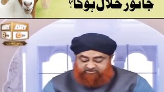 Kitni Rag katne se Jaanwar Halal hoga?