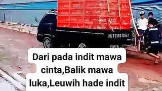 ayam broiler || kata kata lucu 214