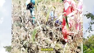 Power Rangers side job