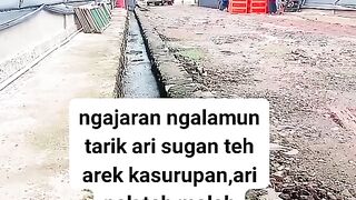 ayam broiler || kata kata lucu 218