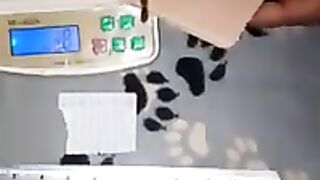 spider ????️ ????️ 100  million dollar