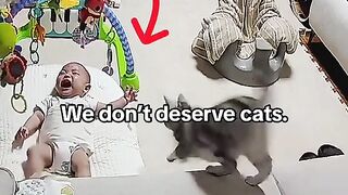 Cat care baby