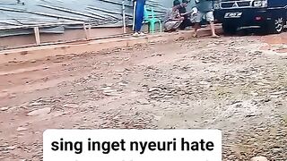ayam broiler || kata kata lucu 221