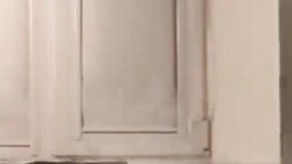 Аномалия Тесла в реале. СТАЛКЕР #stalker #anomaly