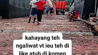 ayam broiler || kata kata lucu 222