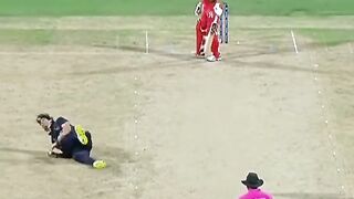 David Wiese picks up two quick wickets to put Namibia in control ????  #Cricket #CricketReels #T20WorldCup