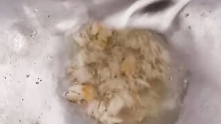 Sayur sawi