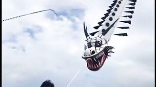 The incident was carried away by a kite