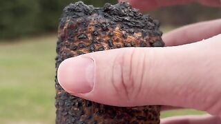 Satisfying food cutting