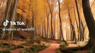 Mother Nature: Explore The World