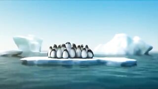Funny Videos 41