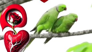 Love is life 14