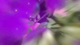 صباح الخير ???????? 2