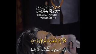 Quran translation heart touching surah qiyamah ayat 26-40