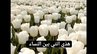 This is you among women