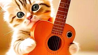 Enjoy music 2