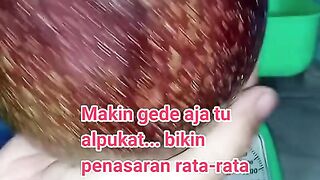 Timbang buah alpukat