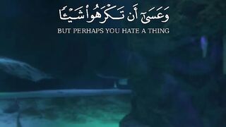 القرآن الكريم 25