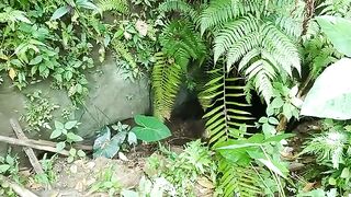 JAPANESE WWII TUNNEL INDAVAO CITY