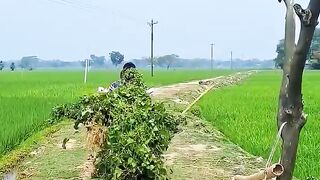 Funny video #funny #viralshorts #entertainment #trending