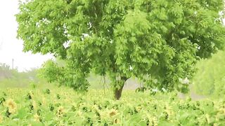 Village view 5