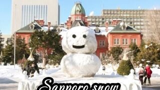 Sapporo Snow Festival (Hokkaido)