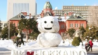 Sapporo Snow Festival (Hokkaido) 2