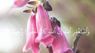 الله اكبر❤️???? 12