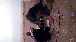 الحماد ٦