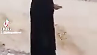 الحماد ٧