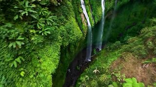East Java...