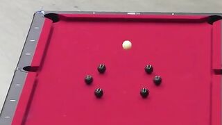 Dude perfect